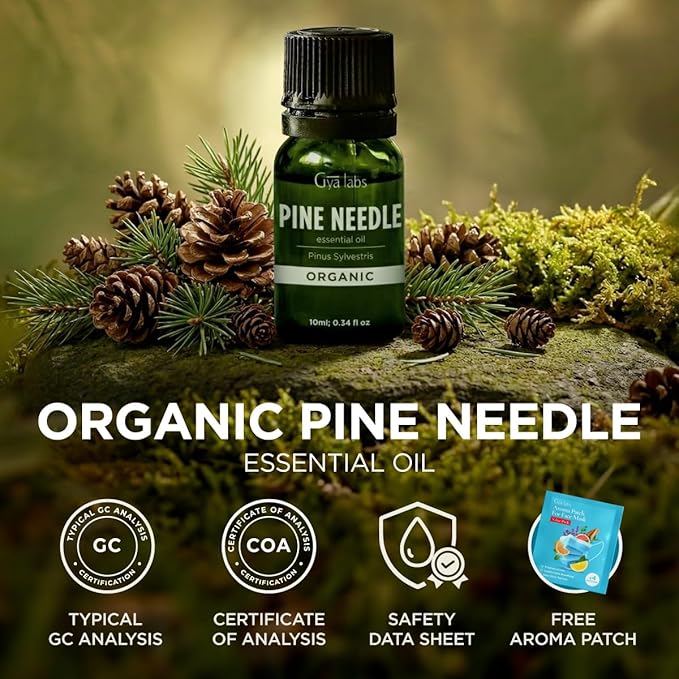 Gya Labs Organic Pine Needle Essential Oil - 0.34 Fl Oz - for Skin, Hair, Diffuser, Aromatherapy, DIY Candle Making Scents
