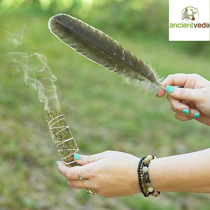 Ancient VEDA Organic Smudge Kit – Cedar Sage, Palo Santo, Sweetgrass, Abalone Shell, Feather & Smudge Guide | Smudging Kit for Home Energy Cleansing, Meditation, Reiki (Healer's Kit, Cedar Sage)