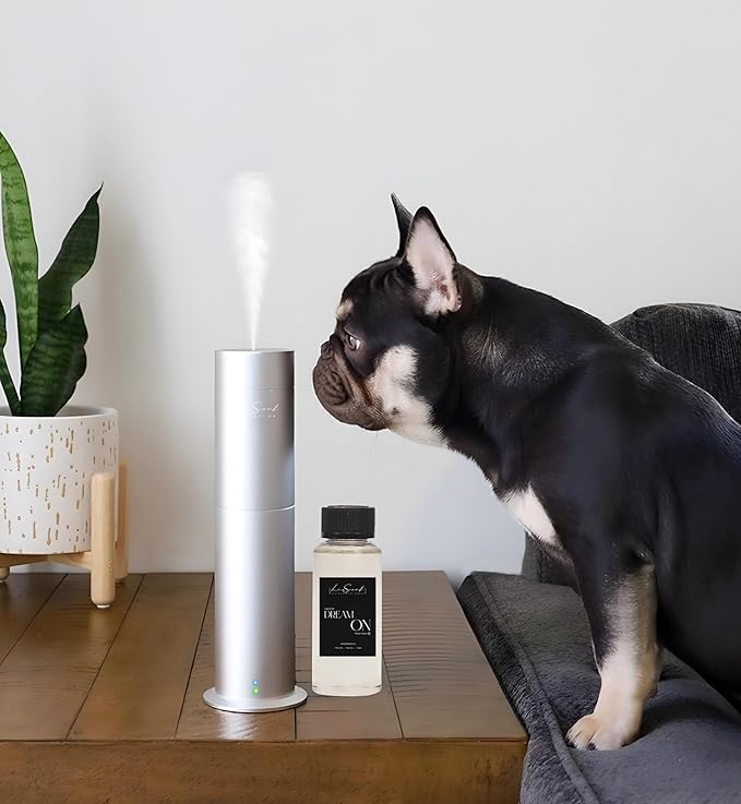 Aroma Scent Diffuser Starter Kit for Up to 1000SQ. FT. Coverage - 120ML Waterless Essential Oil Scent Included - Luxury Aroma Diffuser Ideal for Home, Office & Hotel (Silver, Dream On)