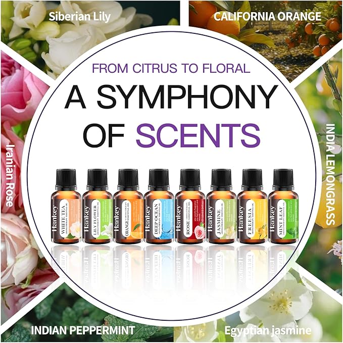 A CENTER Essential Oils Set Created for Humidifiers and Diffusers, Aromatherapy Diffuser Oils Scents, Essential Oil Kit for Home Use, Essential Oil Pack with Various Scents(8X10ML