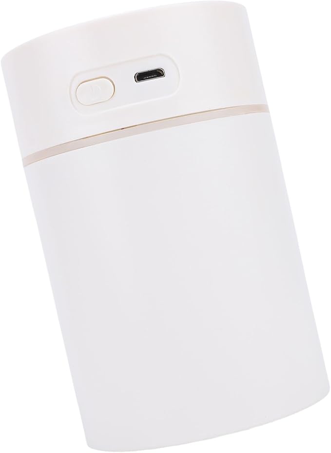 Rengue Portable Mini Humidifier, Plastic, Dual Mist Modes, 300ML USB Powered Diffuser for Bedroom and Office (White)