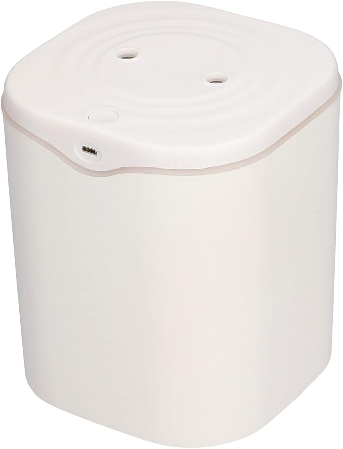 FLEXMAN Double Spray Aroma Diffuser, 2L USB Powered Silent Air Humidifier for Home Bedroom Office