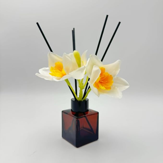 Empty Reed Diffuser Bottle and Black Reed Diffuser Sticks Refill Set for Bathroom Hotel Home Decoration (3, Brown, 50ml)