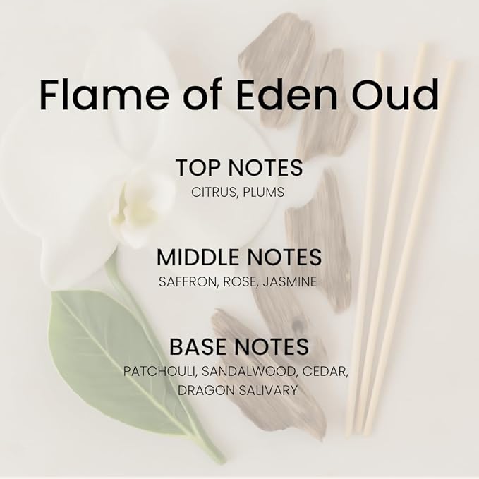 Oud Rose & Jasmine Reed Diffuser Set - Luxury Fragrance Reed Diffusers for Home. Office, Bathroom, Kitchen and Home Decor - Long-Lasting Scent with Non-Toxic Oils (5.63 oz, 160ml)