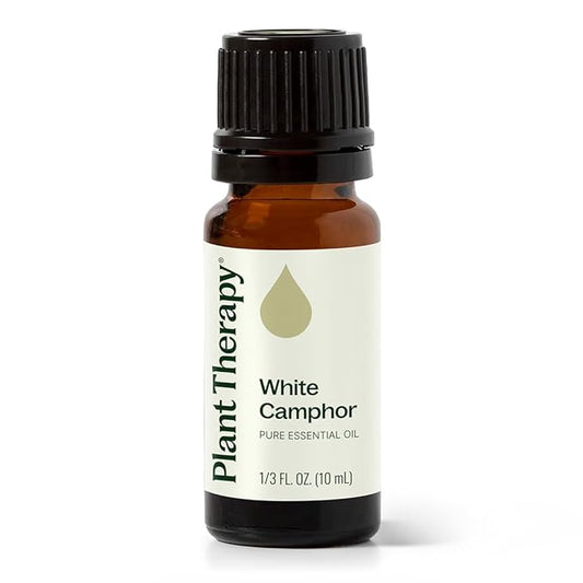 Plant Therapy White Camphor Essential Oil 10 mL (1/3 oz) 100% Pure, Undiluted, Natural Aromatherapy