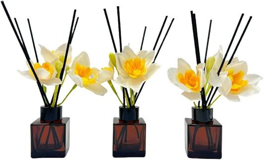 Empty Reed Diffuser Bottle and Black Reed Diffuser Sticks Refill Set for Bathroom Hotel Home Decoration (3, Brown, 50ml)