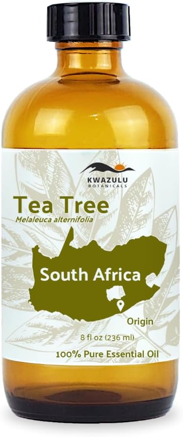 Tea Tree Essential Oil - Direct from Kwazulu Botanicals South Africa - Steam Distilled - Aceite Esencial de Árbol de Té for Aromatherapy, Diffuser, DIY Candle and Soap Making - 8oz
