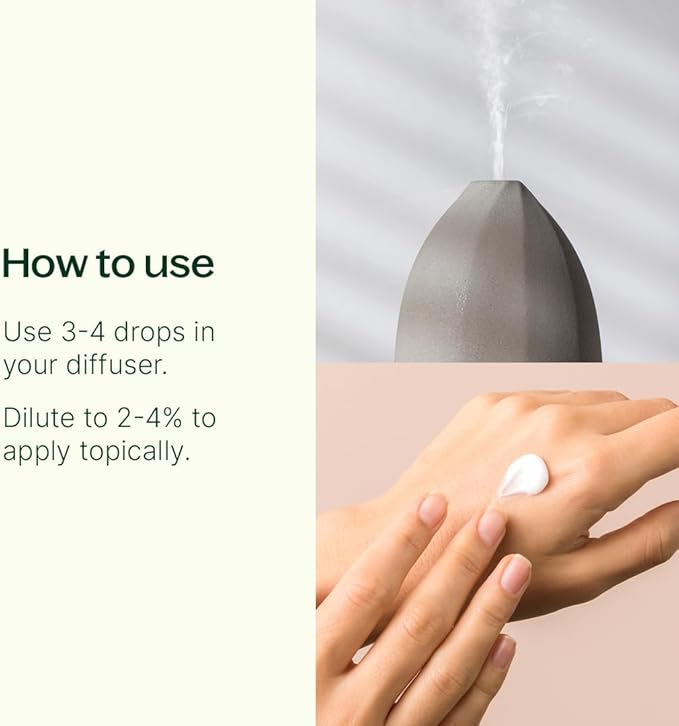 Plant Therapy Citrus Rise Essential Oil Blend 10 mL (1/3 oz) Bright, Uplifting Citrus for a Fresh Start, Perfect for Morning Motivation or Mid-Day Resets, Helps Refresh Any Space
