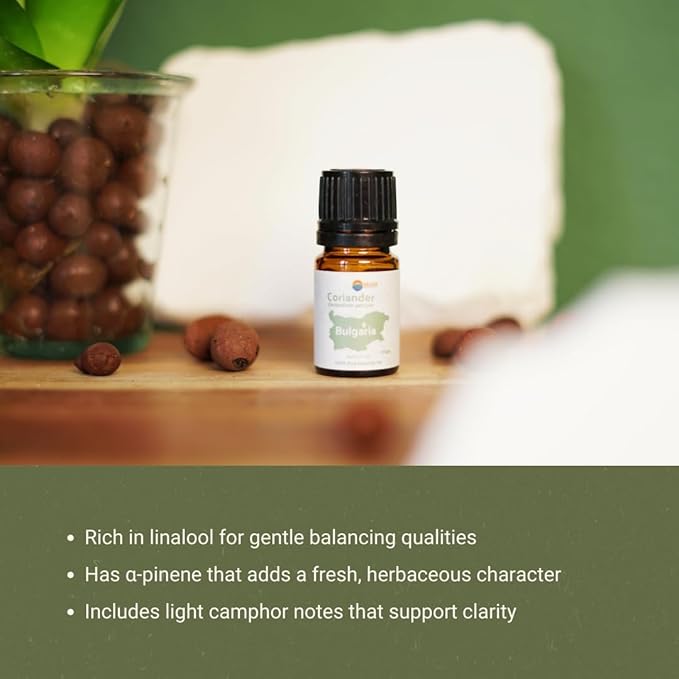 Coriander Essential Oil - Direct from Bulgarian Balkan Mountains - Steam Distilled - Aceite Cilantro for Aromatherapy, Massage, Diffuser, DIY Candle and Soap Making - 8oz