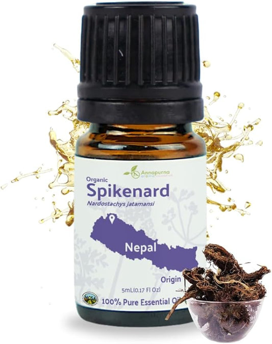 Organic Spikenard Essential Oil - Direct from Annapurna Aroma Nepal - Steam Distilled - Aceite de Nardo for Aromatherapy, Massage, Diffuser, DIY Candle and Soap Making - 5ml