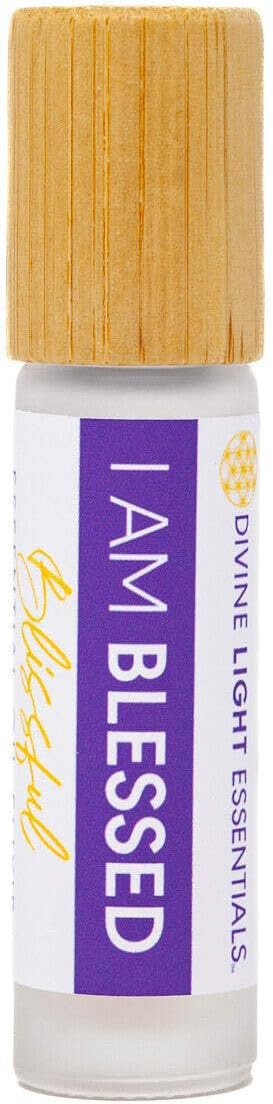 I Am Blessed Wellness Kit Aromatherapy Crystal Jewelry Essential Oil Elixirs Extra Large Bracelet 8 Inch