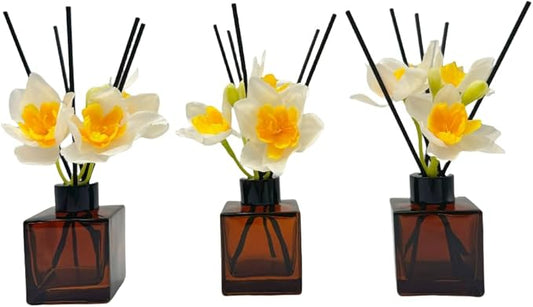 Empty Reed Diffuser Bottle and Black Reed Diffuser Sticks Refill Set for Bathroom Hotel Home Decoration (3, Brown, 100ml)