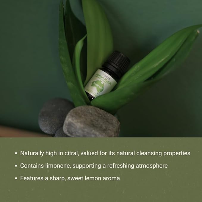 Lemon Myrtle Essential Oil - Experience an Invigorating, Fresh Citrus Aroma - Pure, Undiluted Therapeutic Grade Essential Oil - 8 oz