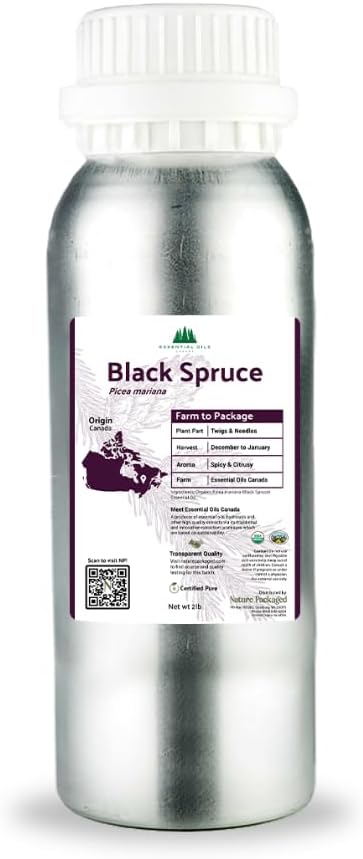 Organic Black Spruce Essential Oil from Canada - Black Spruce Essential Oils for Candle Scent (2lbs)