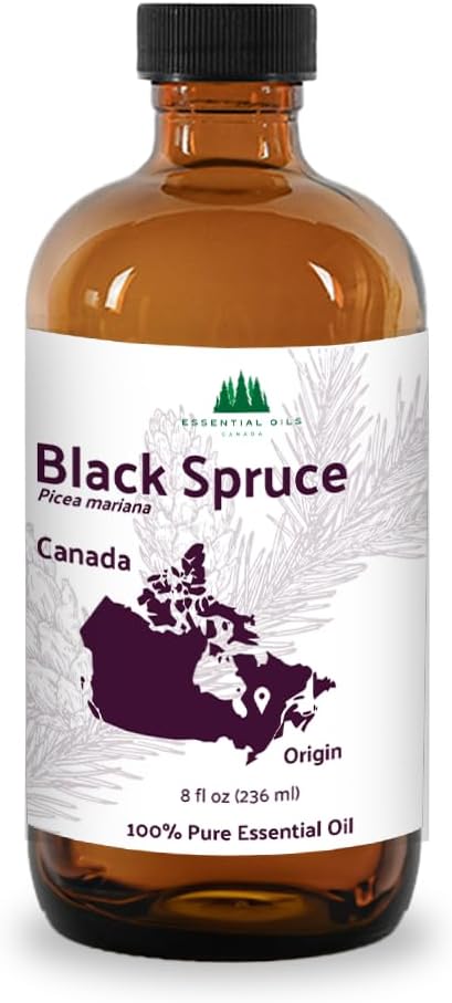 Organic Black Spruce Essential Oil from Canada - Black Spruce Essential Oils for Candle Scent (8oz)