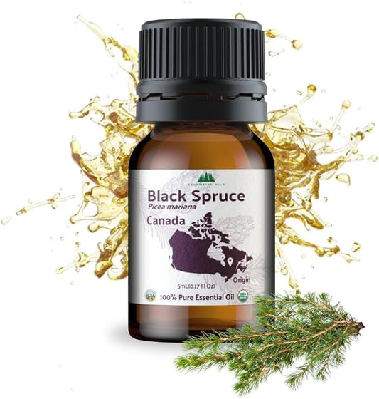 Organic Black Spruce Essential Oil from Canada - Black Spruce Essential Oils for Candle Scent (5mL)