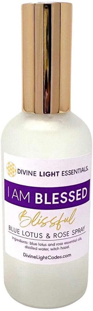 I Am Blessed Wellness Kit Aromatherapy Crystal Jewelry Essential Oil Elixirs Small Bracelet 6.5 Inch