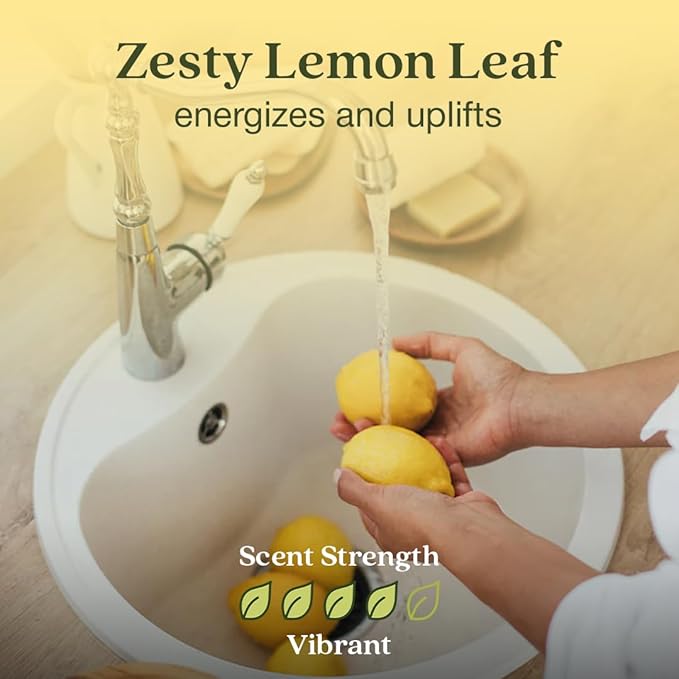 Enviroscent Non-Toxic Air Freshener Plug Hub® Warmer Refillable Kit - Refillable Plug-in Air Freshener - Home Fragrance Lasts Up to 45 Days - Mother’s Day Gift for Mom - Lemon Leaf & Thyme Scent