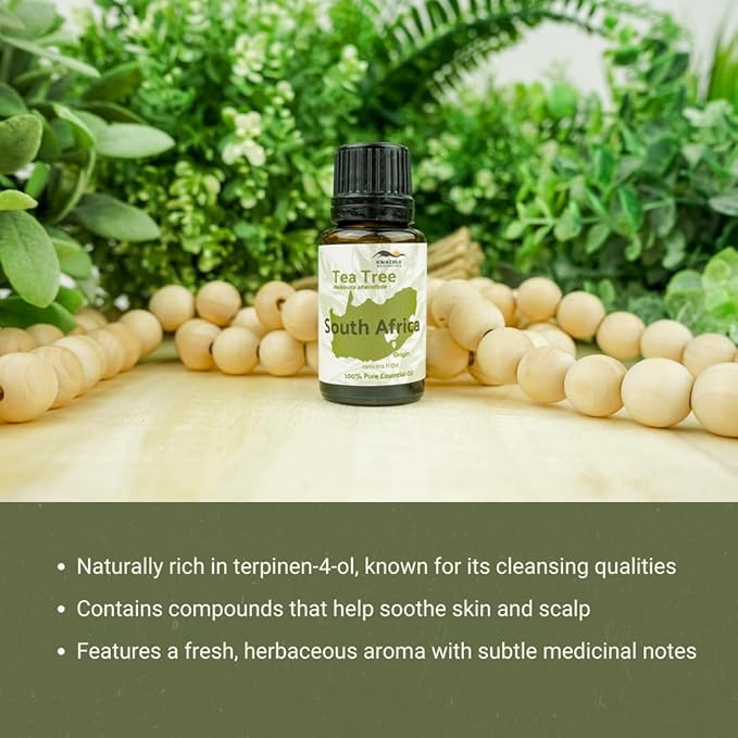 Tea Tree Essential Oil - Direct from Kwazulu Botanicals South Africa - Steam Distilled - Aceite Esencial de Árbol de Té for Aromatherapy, Diffuser, DIY Candle and Soap Making - 2lbs