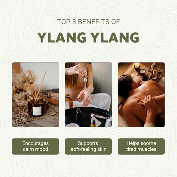Ylang Ylang Essential Oil - Direct from Malagassi Essential Oils Madagascar - Steam Distilled - Aceite de Ylang Ylang for Aromatherapy, Diffuser, DIY Candle and Soap Making - 8oz