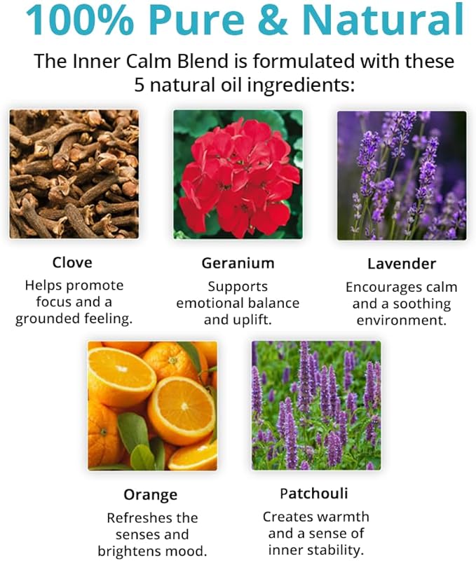 Wild Essentials Exquisite Signature Essential Oil Blend Inner Calm, 10ml - Pure Essential Oils Synergy Blend, New Label, Same Formula