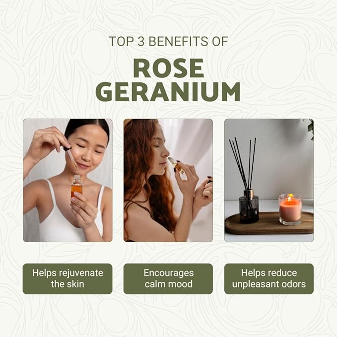 Rose Geranium Essential Oil - Direct from Kwazulu Botanicals in South Africa- Organic Essential Oils for Body, Diffusers, or Aromatherapy | Pure Therapeutic Grade (5ml)