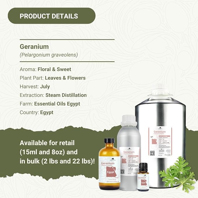 Geranium Essential Oil - Direct from Egypt Nile Delta - Pure Essential Oils for Body, Skincare & Balance - Natural Aceite de Geranio - 100% Pure Therapeutic Grade (15ml)