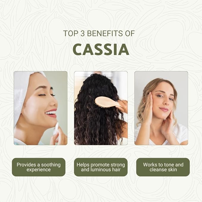 Cassia Essential Oil - Direct from Vietnamese Mountain Farms - Steam Distilled - Aceite de Casia for Aromatherapy, Massage, Diffuser, DIY Candle and Soap Making - 15ml