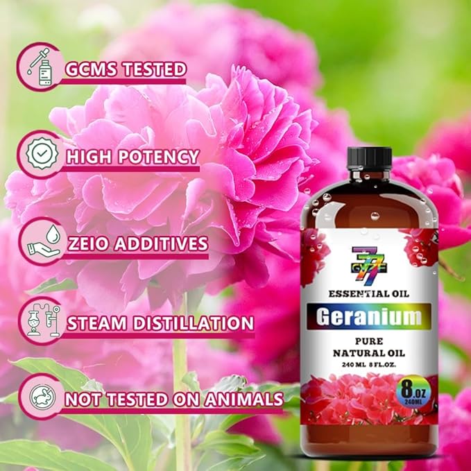 Geranium Essential Oil - GV77ZF Geranium Oils for Diffusers, Humidifiers, DIY Candles, Soap, Cleaning, Home, Office, Yoga, Massage, Gifts - 8 fl oz (240 ml)