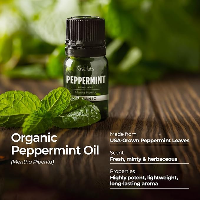 Gya Labs Organic Peppermint Essential Oil - 0.34 Fl Oz - for Skin, Hair, Diffuser, Aromatherapy, DIY Candle Making Scents (Pack of 2)