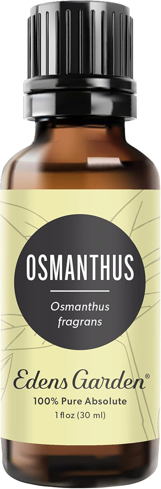 Edens Garden Osmanthus Essential Oil- 100% Pure Premium Grade, Undiluted, Natural, Therapeutic, Aromatherapy, The Best for Diffuser, Skin, Face, Hair 30 ml (1 fl oz)