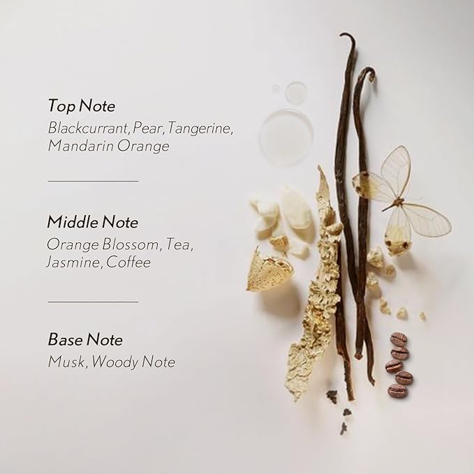 JCLOUD Velvet Noir Essential Oil for Scent Air Machine | Home Luxury and Hotel Scents for Diffuser - Pure Aromatherapy Diffuser Oil with Blackcurrant, Jasmine and Musk - 100mL