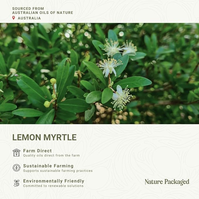 Lemon Myrtle Essential Oil - Experience an Invigorating, Fresh Citrus Aroma - Pure, Undiluted Therapeutic Grade Essential Oil - 8 oz