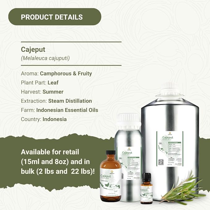 Cajeput Essential Oil (15ml) - Direct from Central Java, Indonesia - Essential Oils for Diffusers Aromatherapy; Essential Oils for Body; Massage Oils | 100% Pure Therapeutic Grade