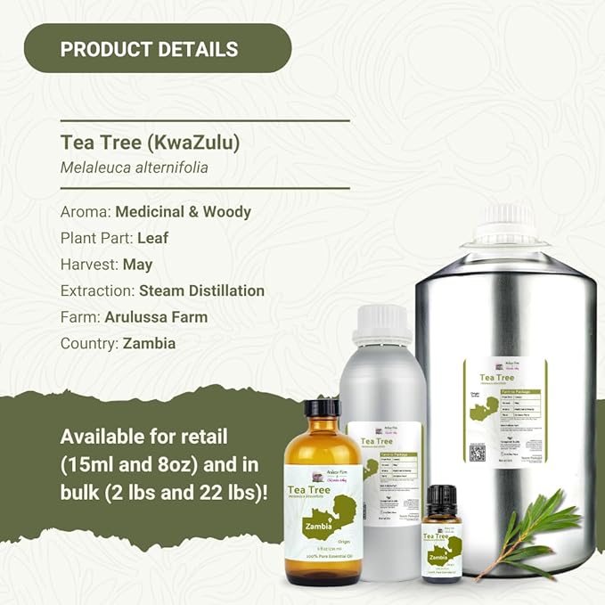 Tea Tree Essential Oil - Direct from Kwazulu Botanicals South Africa - Steam Distilled - Aceite Esencial de Árbol de Té for Aromatherapy, Diffuser, DIY Candle and Soap Making - 2lbs