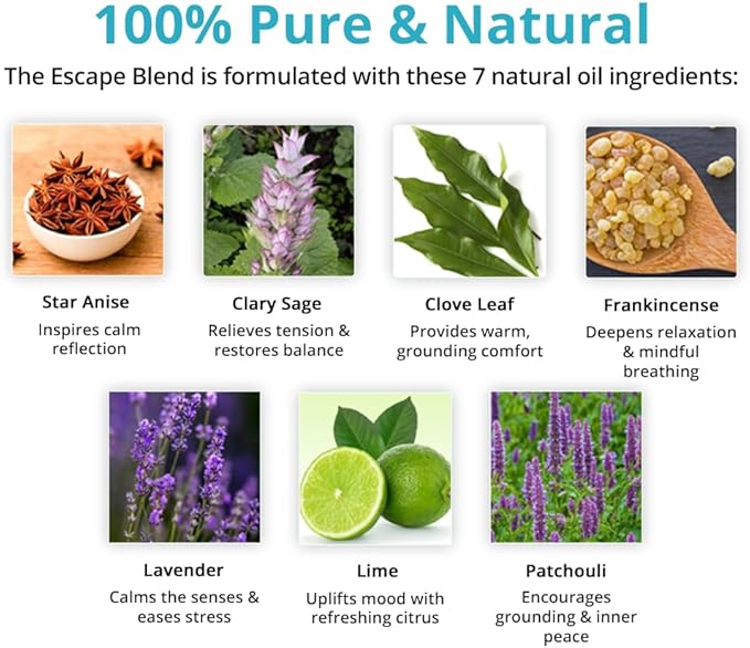 Wild Essentials Escape 100% Pure Essential Oil Synergy Blend 2 Pack 10ml, Therapeutic Grade Daydream Break! Use for Anger, Frustration, Stress, Meditative Power Oil, Made in The USA