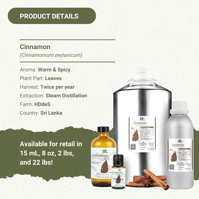Cinnamon Essential Oil - Direct from Sri Lankan Essential Oils - 100% Pure - Natural Aceite de Canela for Aromatherapy & Wellness - Premium Grade (22lbs)