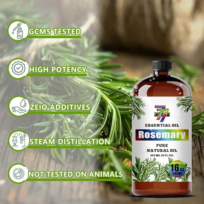 Rosemary Essential Oil - GV77ZF Rosemary Oils for Diffusers, Humidifiers, DIY Candles, Soap, Cleaning, Home, Office, Yoga, Massage, Gifts - 16 fl oz (480 ml)