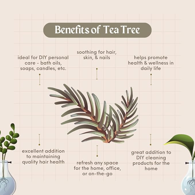 2 Bottles - 16 fl oz Tea Tree Essential Oil (100% Pure & Uncut), Aluminum Bottle - GreenHealth