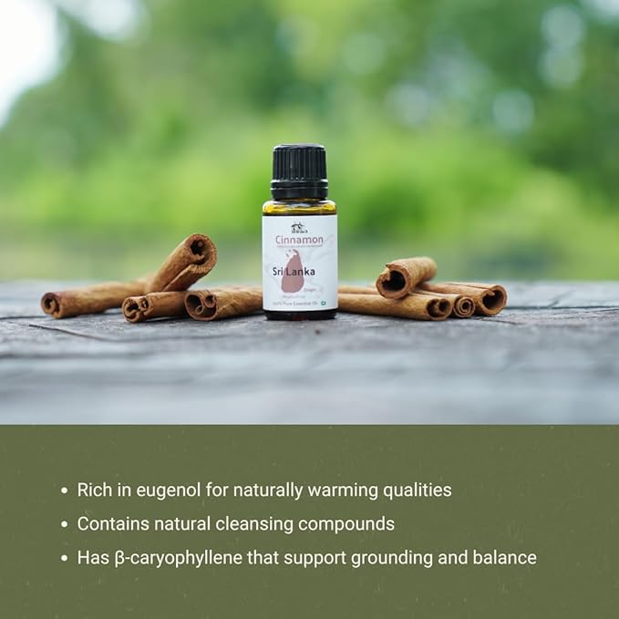 Cinnamon Essential Oil - Direct from Sri Lankan Essential Oils - 100% Pure - Natural Aceite de Canela for Aromatherapy & Wellness - Premium Grade (8oz)