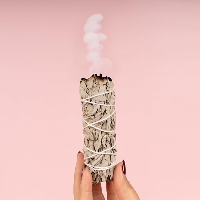 Wish Well Sage Smudge Kit ~ 4" White Sage Smudge Stick, Palo Santo Sticks, Abalone Shell, Stand, Feather ~ Cleansing House & Meditation ~ Energy Healing & Reiki ~ Perfect Starter Kit with Instructions