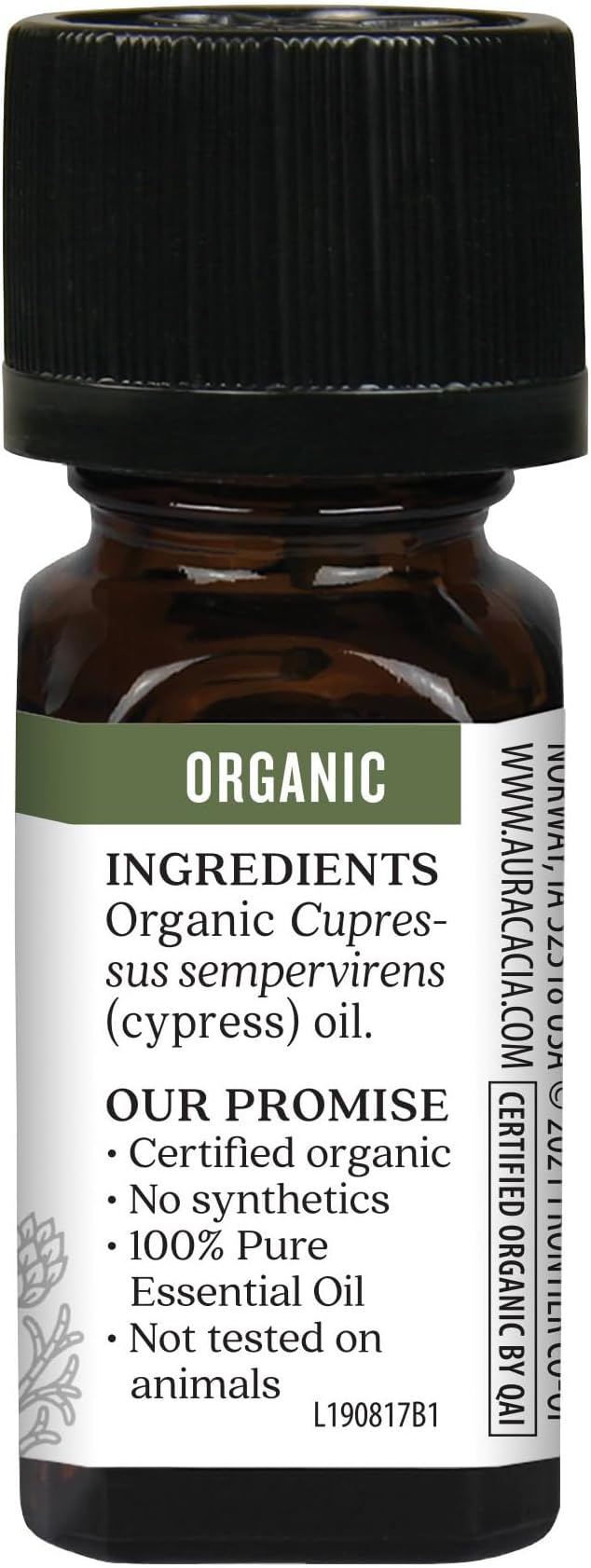 Aura Cacia Organic Cypress Essential Oil, Pure Cupressus Sempervirens Oil, Aromatherapy for Home, Body Care, DIY Blends | 0.25 Fl Oz (Pack of 1)