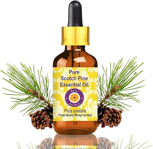 Deve Herbes Pure Scotch Pine Essential Oil (Pinus sylvestris) Steam Distilled with Glass Dropper 15ml (0.50 oz)