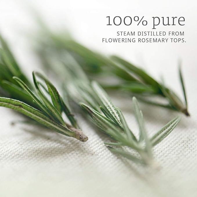 NOW Essential Oils, Rosemary Oil, 2-Ounce