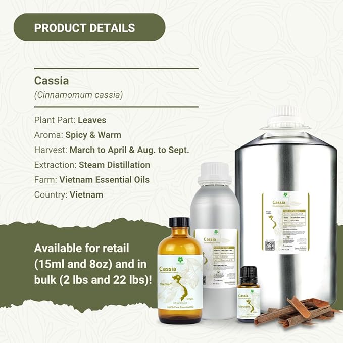 Cassia Essential Oil - Direct from Vietnamese Mountain Farms - Steam Distilled - Aceite de Casia for Aromatherapy, Massage, Diffuser, DIY Candle and Soap Making - 15ml