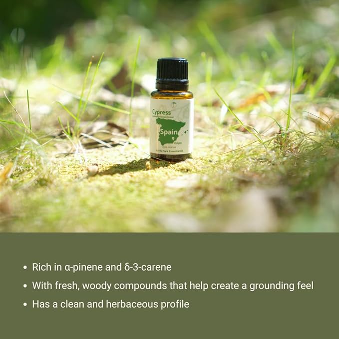 Cypress Essential Oil - Direct from Essential Oils SL in Mediterranean Spain - Aceite de Ciprés for Diffuser, 100% Pure Therapeutic Grade - Aromatheraphy, Skincare (2lbs)