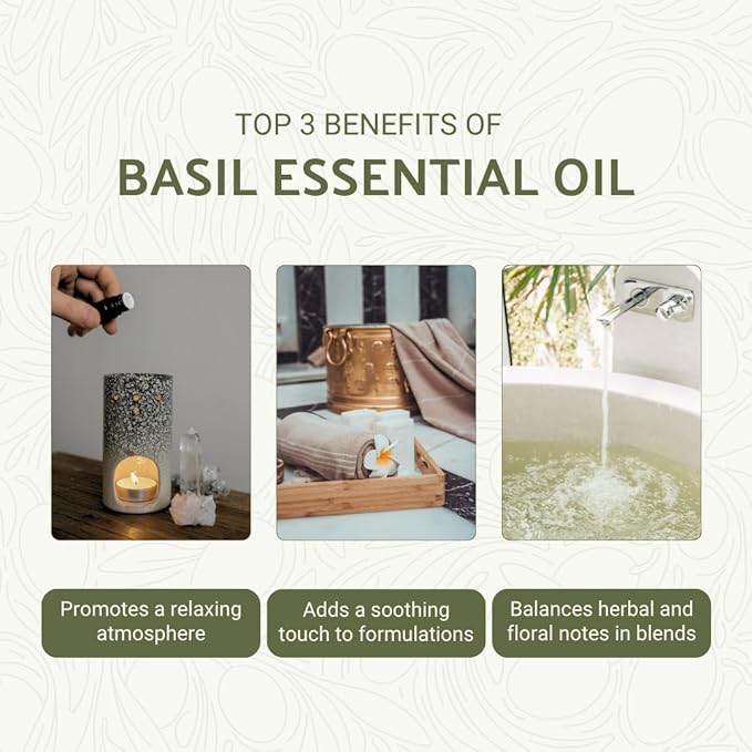 Basil Essential Oil - Direct from Fridal Egypt - Steam Distilled - Aceite de Albahaca for Aromatherapy, Massage, Diffuser, DIY Candle and Soap Making - 22 lbs