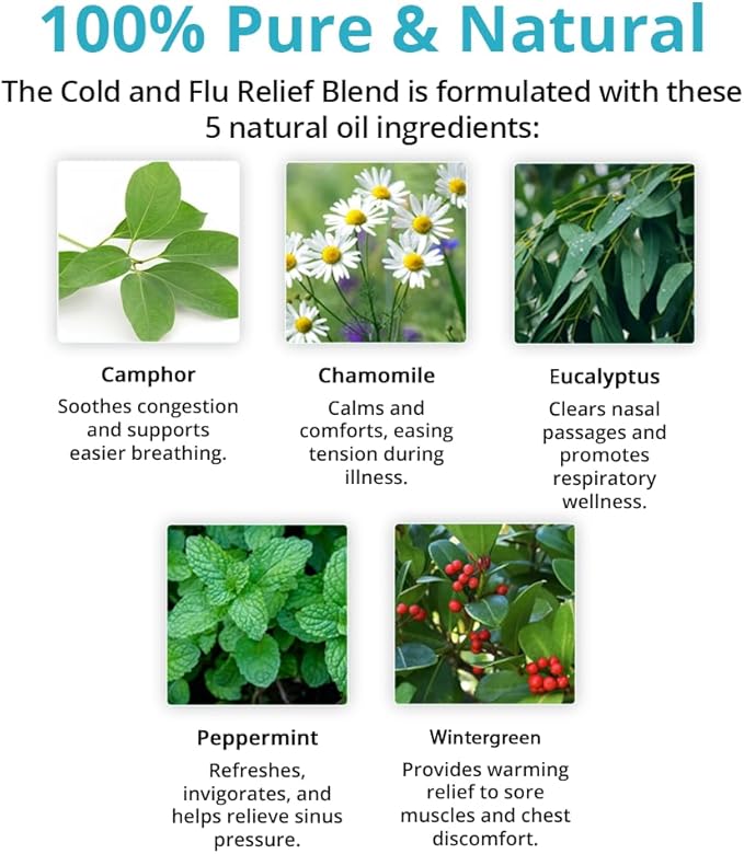 Wild Essentials Cold and Flu Relief 100% Pure Essential Oil Synergy Blend 2 Pack 10ml, Therapeutic Grade Formula for Congestion, Aches, Pain and Muscle Relief, migraines, Made in The USA