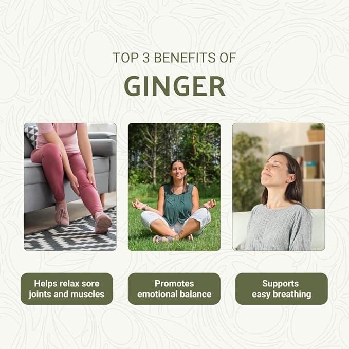 Ginger Essential Oil - Direct from Bio-Young Aromas - Pure Ginger Oil for Skin - Aceite de Jengibre - Aromatherapy 100% Therapeutic Premium Grade (15ml)
