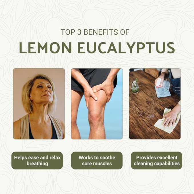 Lemon Eucalyptus Oil by Eucaliptus from Brazil - Pure Lemon Eucalyptus - 100% Pure Steam Distilled Natural Aceite de Eucalipto Limón - Aromatherapy - Premium Therapeutic Grade (15ml)